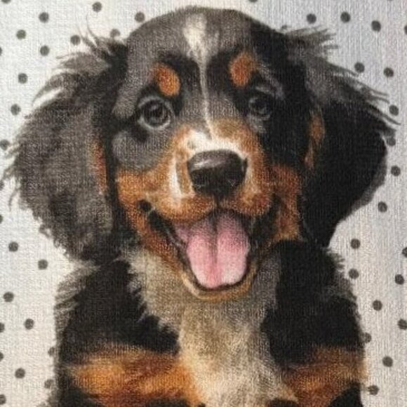 NWT & HARD TO FIND 3 PACK BERNESE MOUNTAIN DOG PUPPY PLUS GREY ABSORBENT TOWELS - Picture 10 of 12